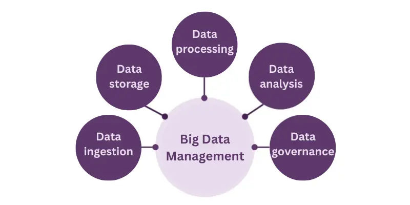 Big Data Management